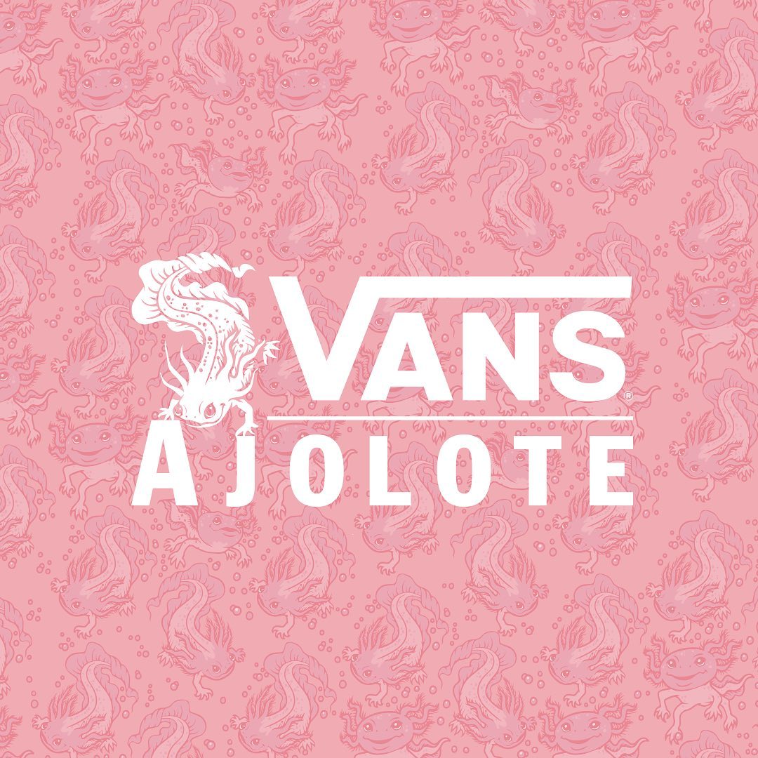 Vans presenta colección inspirada en el ajolote mexicano