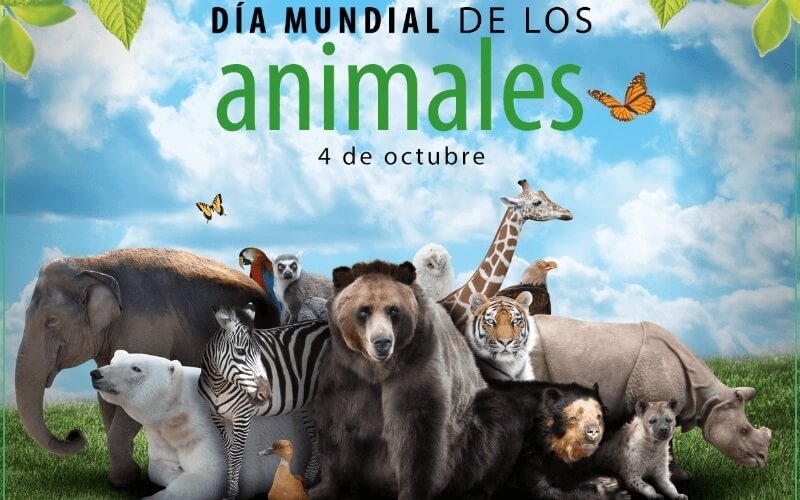 Día de los Animales: Descubre la Maravilla de la Vida Silvestre en 5 Parques Nacionales