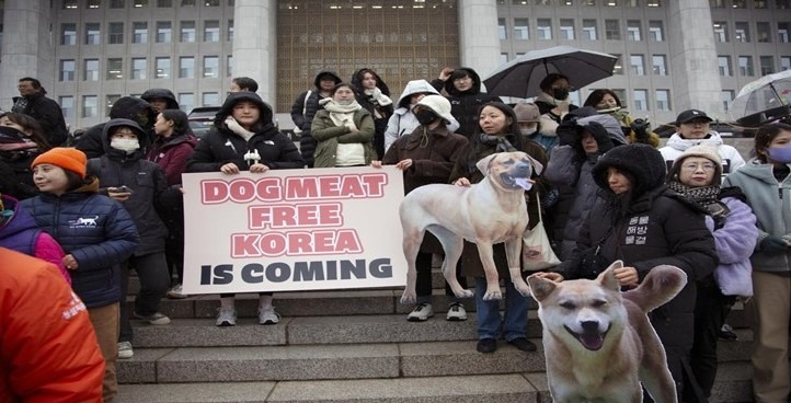 Corea del Sur aprueba legislación que prohíbe el consumo de carne de perro