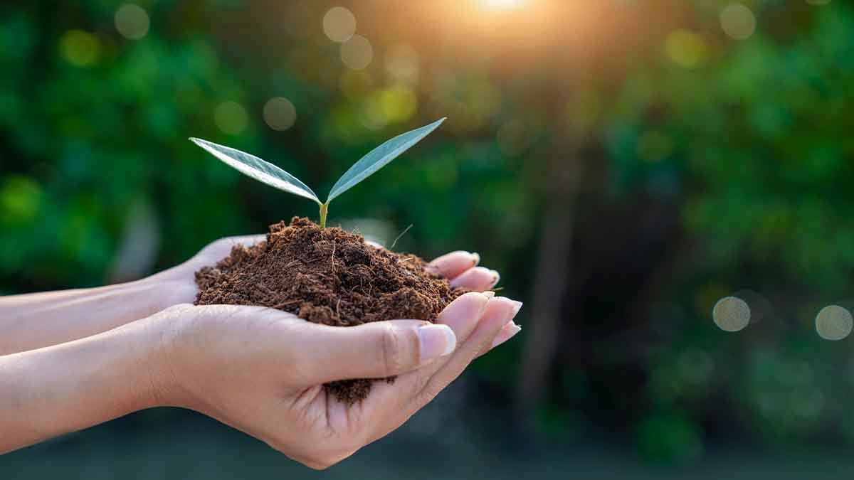 Cinco maneras de cuidar el medio ambiente desde casa