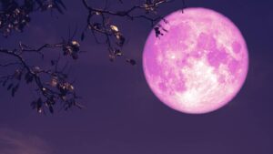 ¿Qué es la Luna de fresa y cuándo se puede ver?