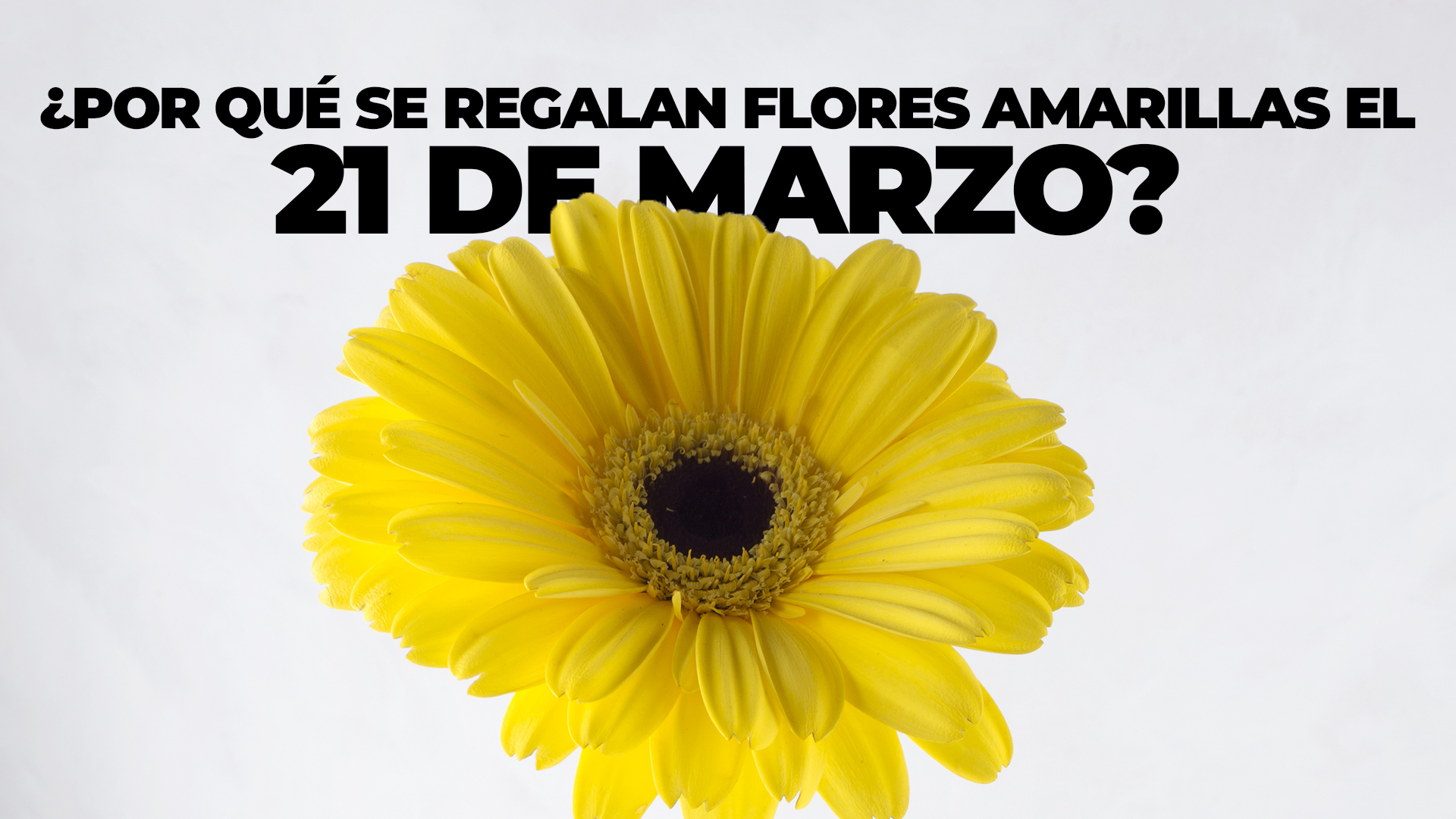 Flores Amarillas: Una tradición de luz y renovación el 21 de marzo